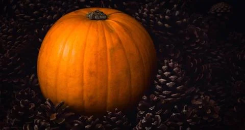 Rustic Pumpkin setting in pine cones  natural setting Stock Photos