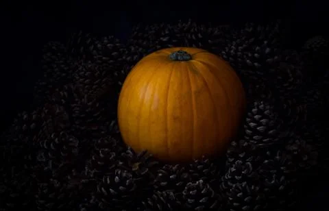 Rustic Pumpkin setting in pine cones  natural setting Stock Photos