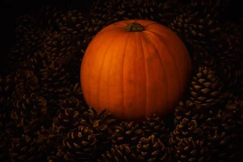 Rustic Pumpkin setting in pine cones  natural setting Stock Photos