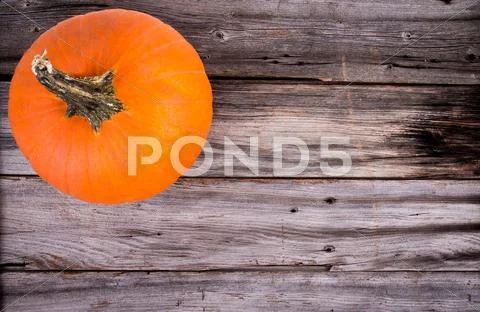 Rustic pumpkin on wood Stock Photos