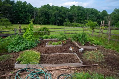 Rustic raised bed vegetable garden with rural nature background Stock Photos