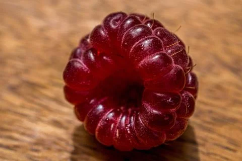 Rustic raspberry close up macro. Nature background. Fresh fruit. Stock Photos