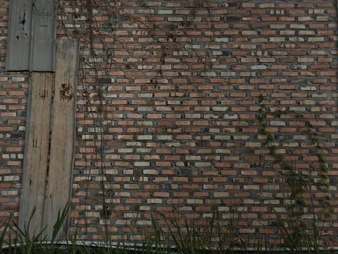 Rustic Red Brick Wall with Climbing Vines and Weathered Wood Stock Photos