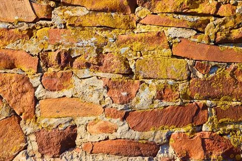 Rustic Red Brick Wall with Lichen Growth, Textured Background Stock-Fotos