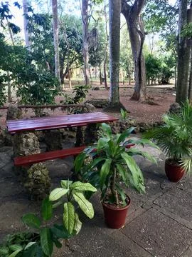 Rustic Rest Area in Cuban Jungle, Garden with Stone Table and Tropical Plants Stock Photos