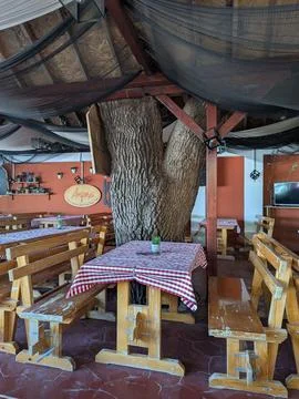 Rustic restaurant interior built around large tree trunk with wooden tables Stock Photos