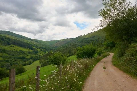 A rustic road surrounded by dense vegetation Stock Photos