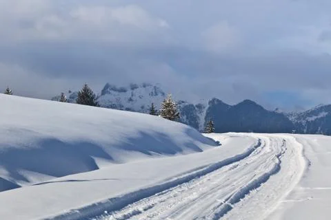 Rustic road in winter Stock Photos