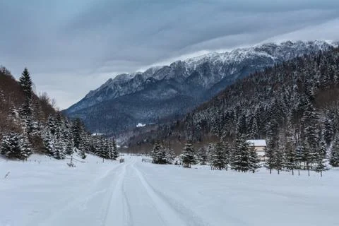 Rustic road in winter Stock Photos