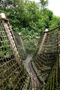 Rustic rope bridge Stock Photos