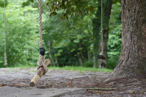 Rustic Rope Swing in a Forest Stock Photos