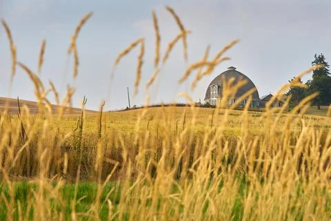Rustic Round Barn in the Palouse 写真素材