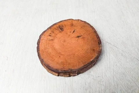 Rustic round wood slice with natural bark edge isolated on a light wooden b.. Stock Photos