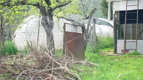 Rustic rural backyard garden with old shed and greenhouse Video stock 325619308