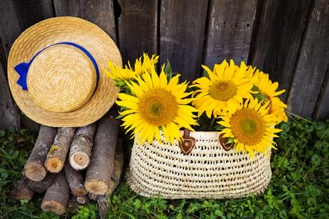A rustic scene featuring sunflowers in a wicker bag, a straw hat, and firewoo Stock Photos