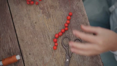 Rustic scene of hands assembling decorative berry wreaths. Calm autumn Stock Footage 346400255