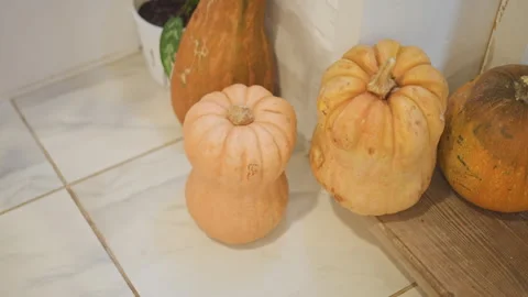 Rustic scene with pumpkins and kitchen light. Arrangement of heirloom gourds and Video stock 346408771