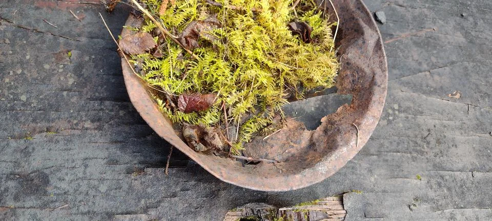 Rustic scene of rusty pan with holes and moss outside Stock Photos