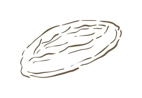 A Rustic Scored Oval Loaf Of Hearth Bread Doodle Vector Illustration Art Stock Illustration