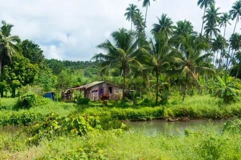 Rustic shack in jungle Stock Photos