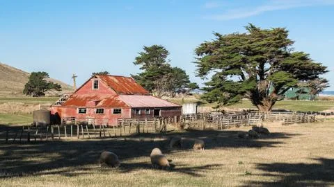 Rustic shearing shed Fotos de archivo