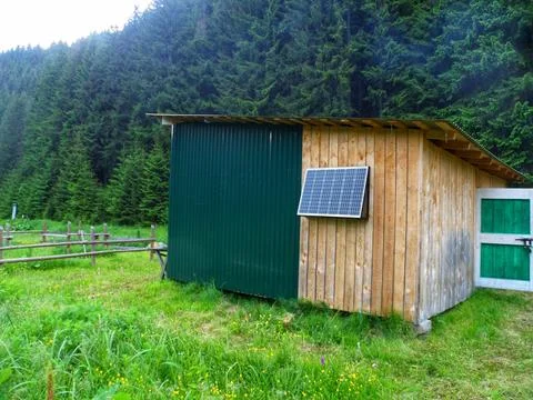 Rustic Shed in Forest Clearing Stock Photos