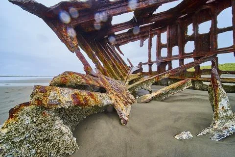 Rustic Shipwreck of Peter Iredale on Sandy Beach Low Perspective 스톡 사진
