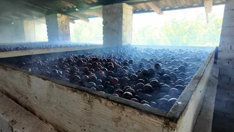 Rustic smoke-filled room with several plum drying kilns. Stock Footage 331650193