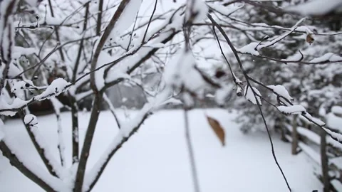 Rustic Snow Scene with Tree Stock Footage 129455606