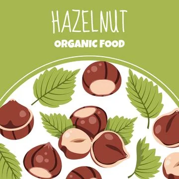 Rustic Square Background with Hazelnuts and Green Leaves. Perfect for Autum.. Stock Illustration