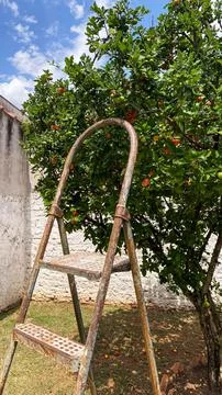 Rustic staircase under a acerola tree Stock Photos