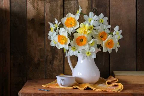 Rustic still life with bouquet of different daffodil varieties in white jug,  Stock Photos