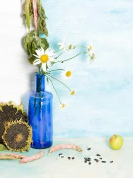 A rustic still life with daisies Stock Photos