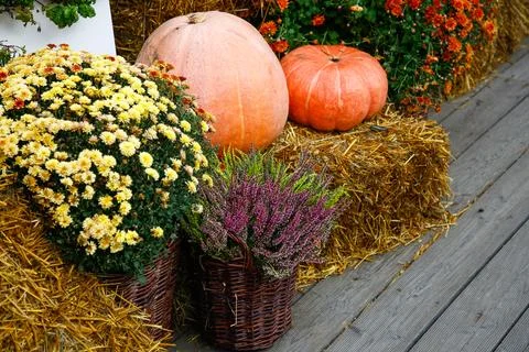 Rustic still life featuring pumpkins, heather flowers, and a hay bale Stock Photos