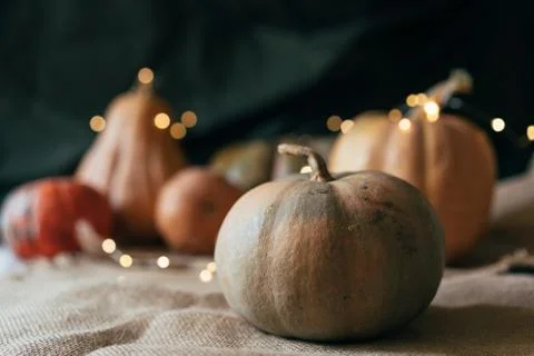 Rustic still life. Stock Photos