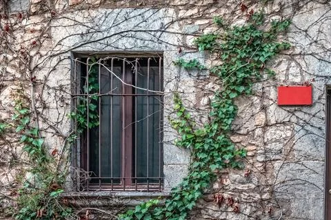 Rustic stone facade with barred window and creeping ivy vines Stock Photos