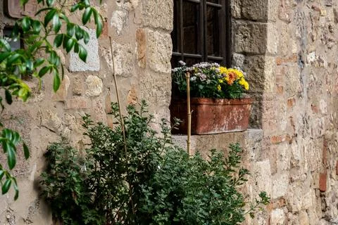 Rustic stone house facade with climbing plant 스톡 사진