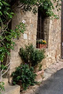 Rustic stone house facade with climbing plant Stockfoto's