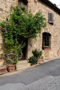 Rustic stone house facade with climbing plant Fotos Stock