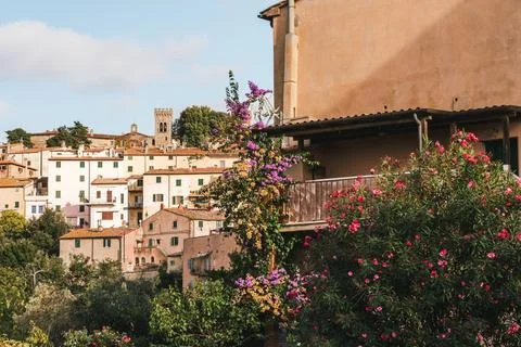 Rustic stone house facade with climbing plant Stockfoto's