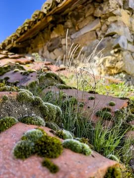 Rustic stone house with mountain view and scenic overlook Stock Photos
