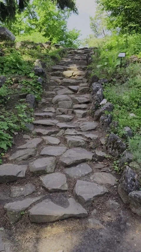 Rustic stone path leading uphill through a green botanical garden. Stock Footage 336508767