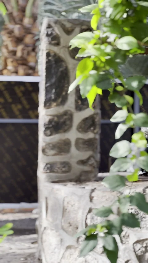 Rustic Stone Pillar with Greenery - Al Hajeem Well Outdoor Scene Vídeo Stock 325443986