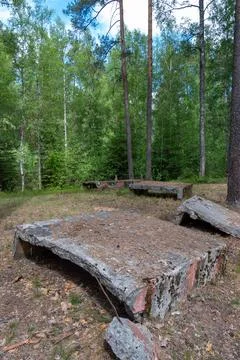 Rustic stone slabs lie in a forest clearing Stock Photos