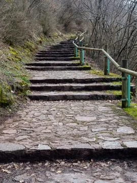 Rustic stone stairs winding up forest trail Stock Photos