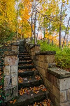 Rustic Stone Steps in Autumn Park Stock Photos