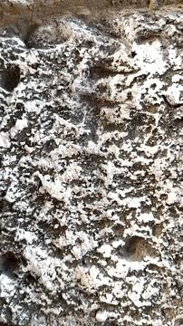 Rustic stone structure featuring arched entrance adds timeless elegance. Perfect Stock Photos