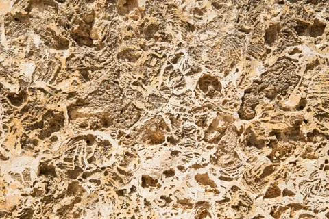 Rustic stone surface Фото