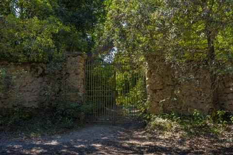 Rustic Stone Wall and Iron Gate in Forest Stock Photos