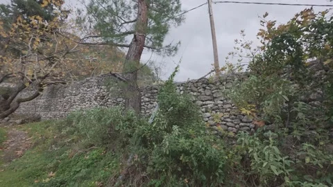 Rustic stone wall covered by plants with electricity poles in woods Stock Footage 338106918
